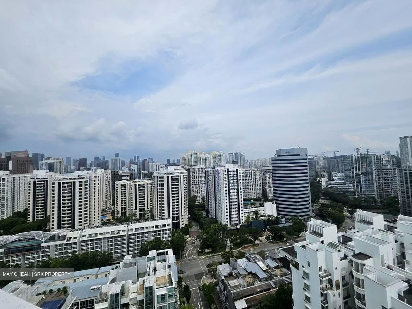 Nathan Suites (D10), Condominium #590753091